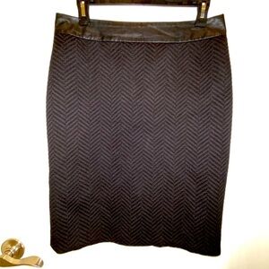 Banana Republic Pencil Skirt w/gold zipper
